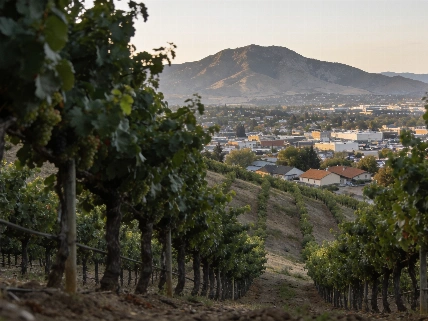 Nine U.S. Retirement Cities Put Wine Country Within Reach FinancialSumo