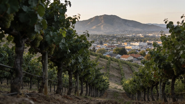 Nine U.S. Retirement Cities Put Wine Country Within Reach FinancialSumo